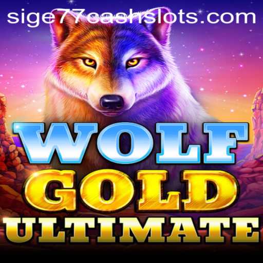 Exploring the Allure of WolfGoldUltimate in the Sige77 Cash Slots Scene